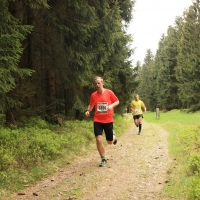 rennsteiglauf_2015_marathon_130.jpg