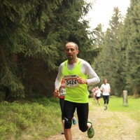 rennsteiglauf_2015_marathon_233.jpg