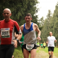 rennsteiglauf_2015_marathon_238.jpg