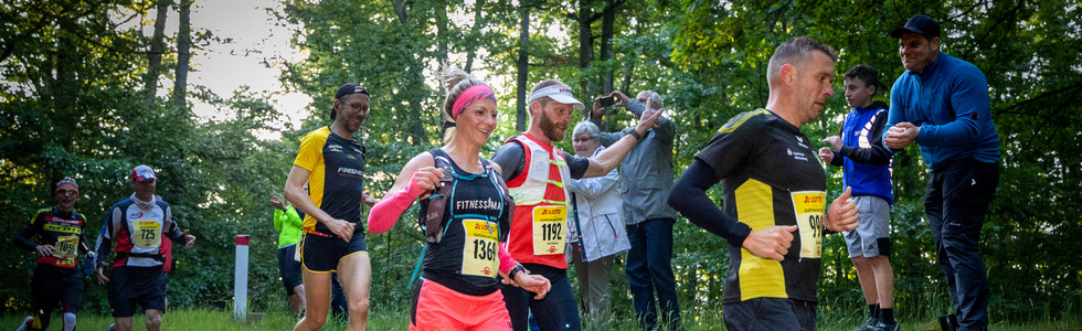 50. Rennsteiglauf: Supermarathon, Wandern und Nordic Walking stehen hoch im Kurs!